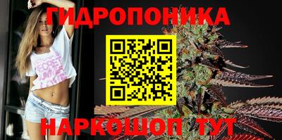 гидра Рыбинск